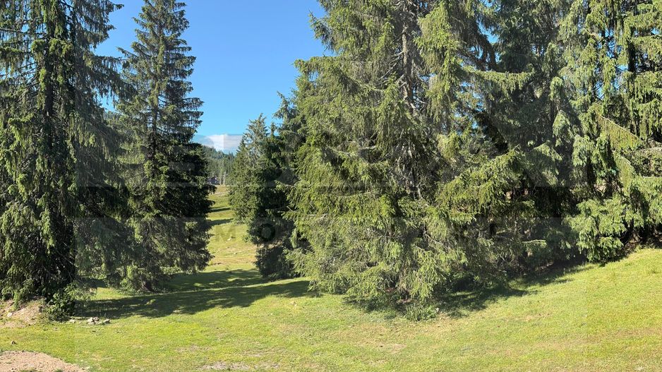 Teren intravilan 250 mp, Arieseni - Partie Ski - Poză 1