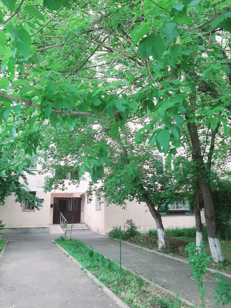 Drumul Taberei – Valea Roșie - Poză 2