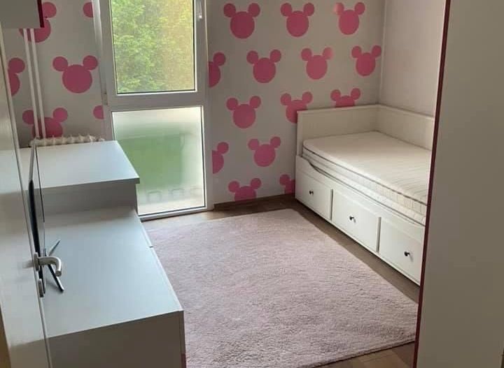 Apartament 3 camere zona Bd .1 Decembrie 1918 - Piata Minis - Poză 4