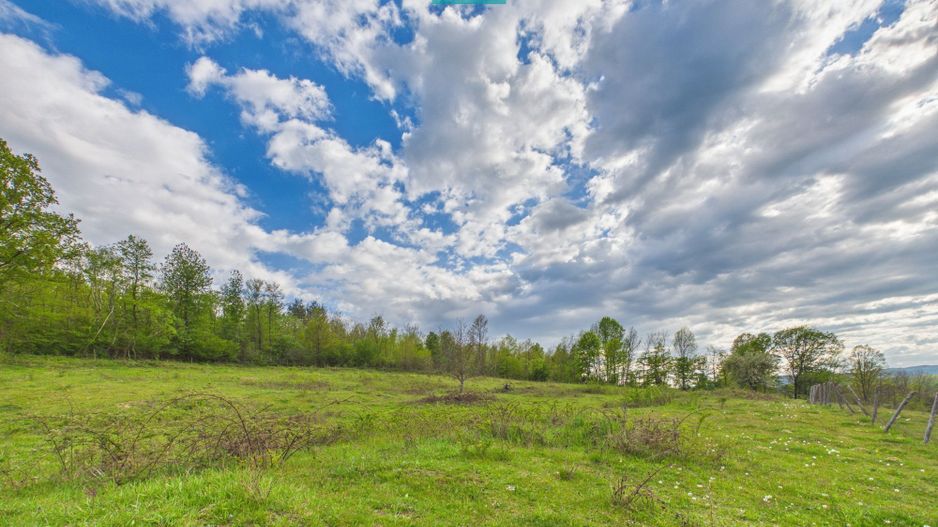 Casă cu teren de 17.681 mp, în loc. Hălmăgel, Arad - Poză 19