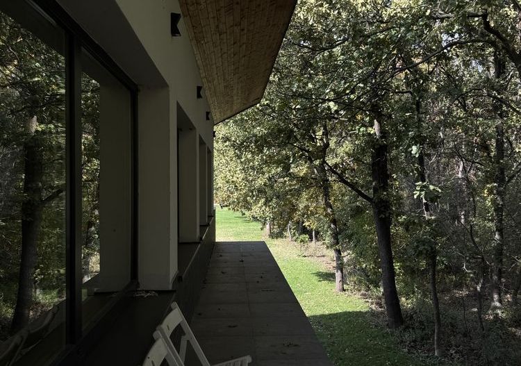 Casa la padure de inchiriat Moara Vlasiei - Poză 4