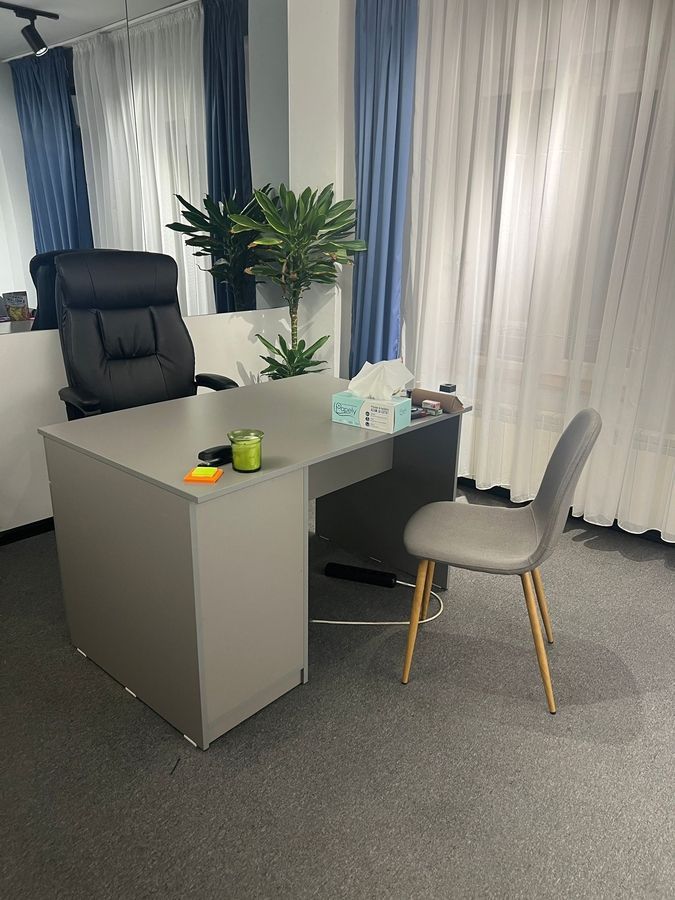 Apartament 3 camere, renovat, pretabil firmă, Națiunile Unite - Poză 16