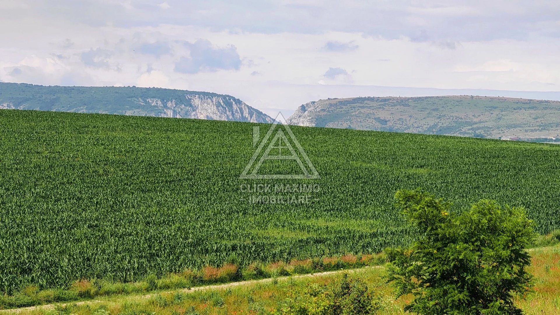 28.554 mp TEREN EXTRAVILAN, TURDA – SĂNDULEȘTI, jud. CLUJ - Poză 8