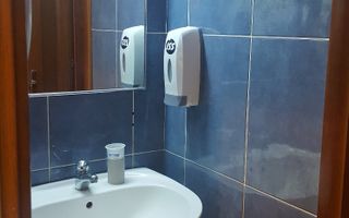 Spatiu birouri- Ion Mihalache- Ciuperca-Expozitiei - Poză 12