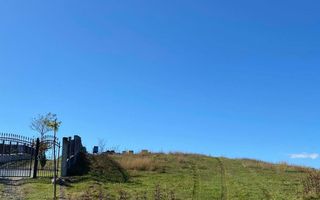 Teren intravilan de vanzare, 7600mp, 30ml deschidere - Poză 2