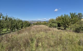 Teren intravilan în zona Lătureni – Buituri, în spatele casei nr. 100! - Poză 5