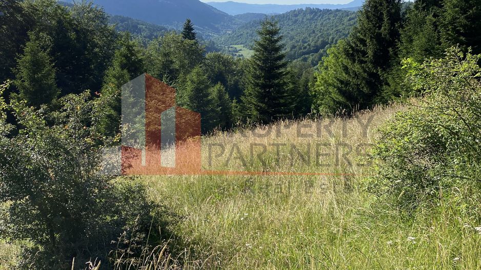 Teren 14400 mp la iesire din Rasnov inspre Pârâul Rece-Trei Brazi - Poză 2