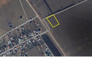 Teren de vanzare Serbanesti/Holt - Poză 3