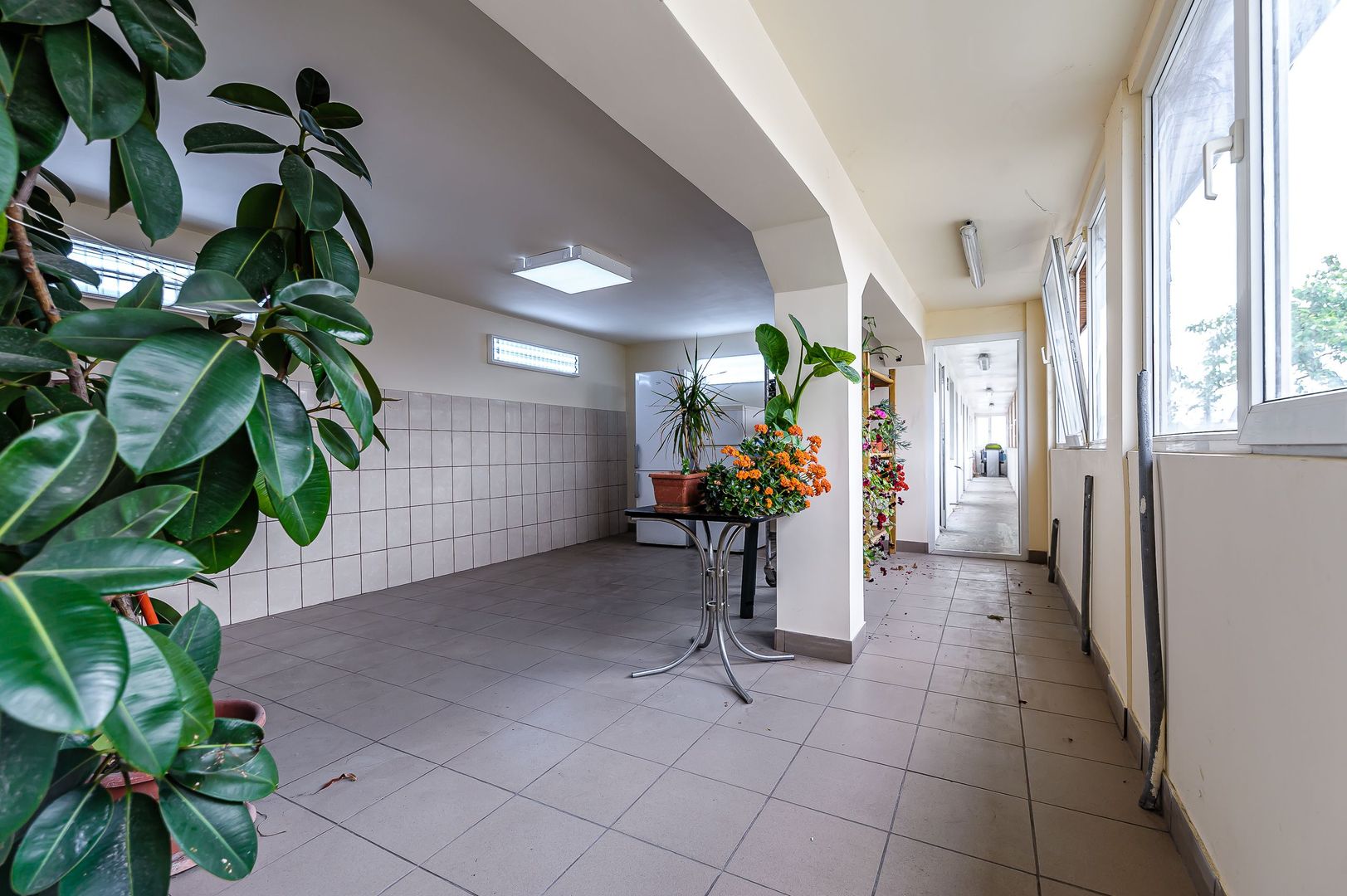 Spațiu comercial versatil, pe Calea Radnei - Poză 3