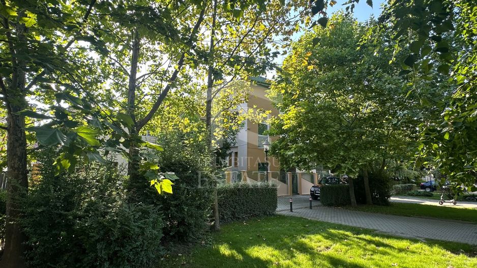Spatiu Comercial in Parcul Primariei Snagov Ghermanesti 400 mp - Poză 14