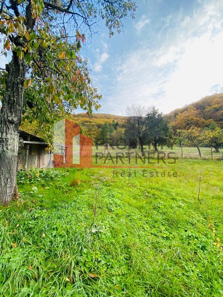 Casa + teren 1700 mp langa Padure Bran/ Predelut - Poză 3