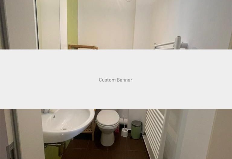 Apartament cu 3 camere la curte in zona Complexului Studentesc open space - Poză 6