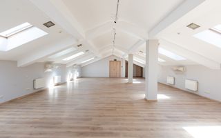 Chirie, spațiu de birouri, 505 mp, strada Mitropolit Bănulescu-Bodoni, - Poză 9