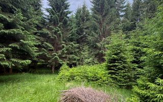 Teren intravilan de vânzare-COMANDAU /COVASNA-2500mp - Poză 3