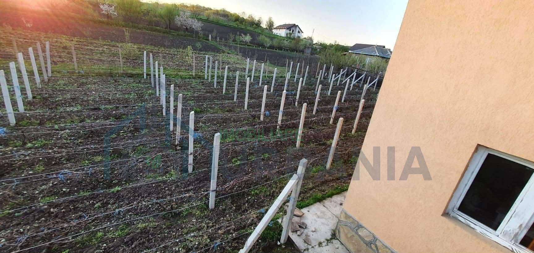 Vând casă și teren - Poză 8