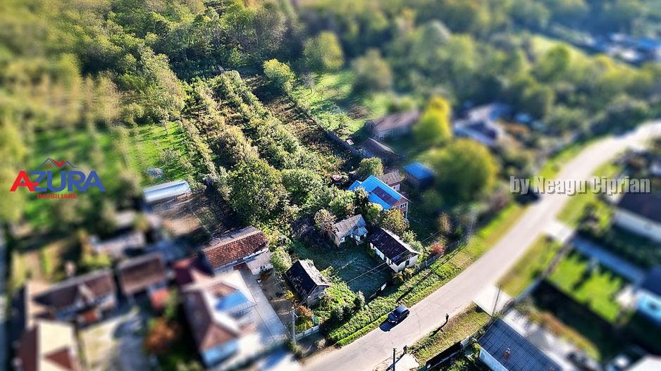 Vanzare teren 3300 mp, intravilan, Albota - Mares - Poză 10