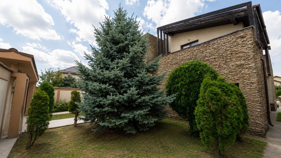 Vila cu piscina, 6 camere, 254mp utili, 815mp teren, com. Berceni - Poză 50