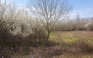 Teren intravilan, 1080 mp, Lipova - Poză 2