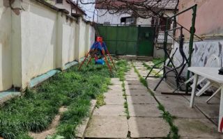Apartament la casa | 4 camere | Curte separata | Terezian - Poză 7