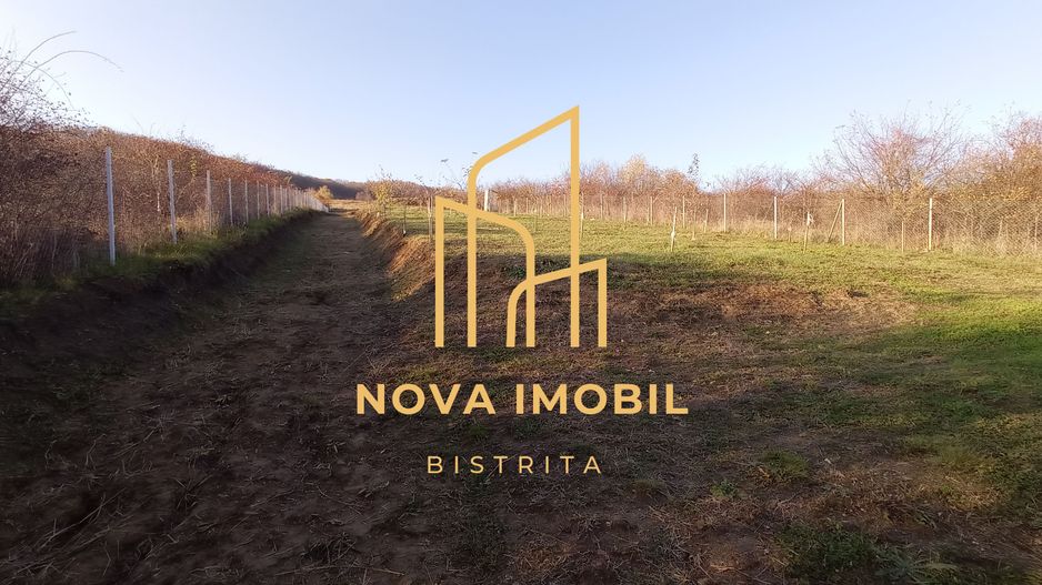 Teren Viisoara 27 ari - Poză 5