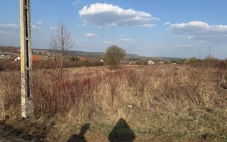 Teren intravilan cu toate utilitatile si drum amenajat Daia - Poză 4