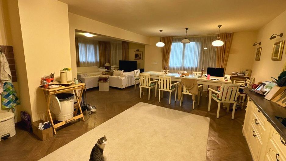 Vilă cu 10 camere P+2E+M 400 M² utili 2800 M² Teren Comandau - Poză 8