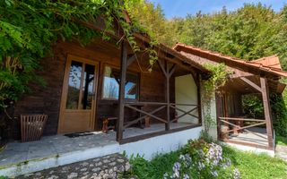 Domeniu în satul Căprioara - Poză 14