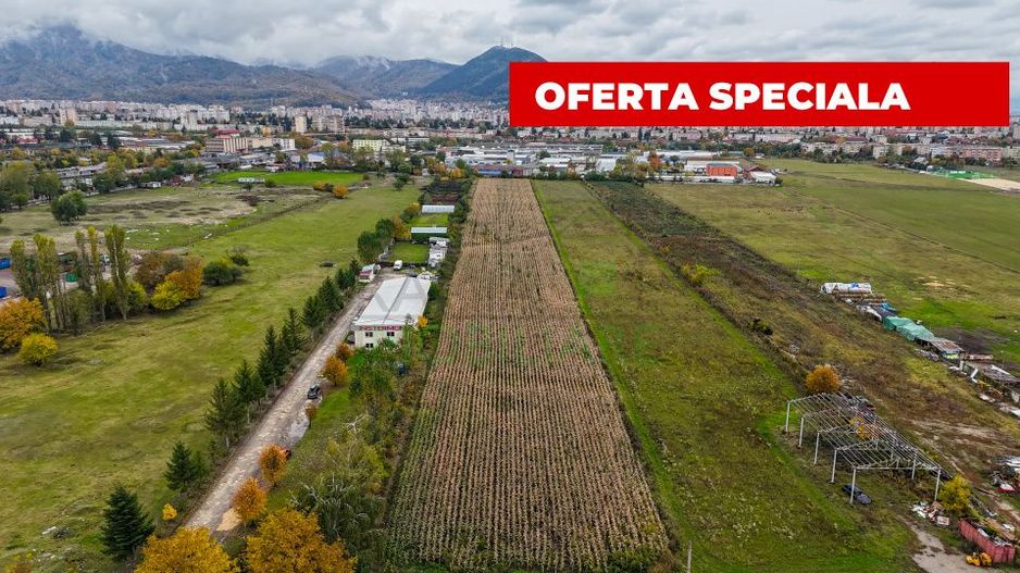 Teren industrial- Timișul Sec oportunitate investițională - Poză 2