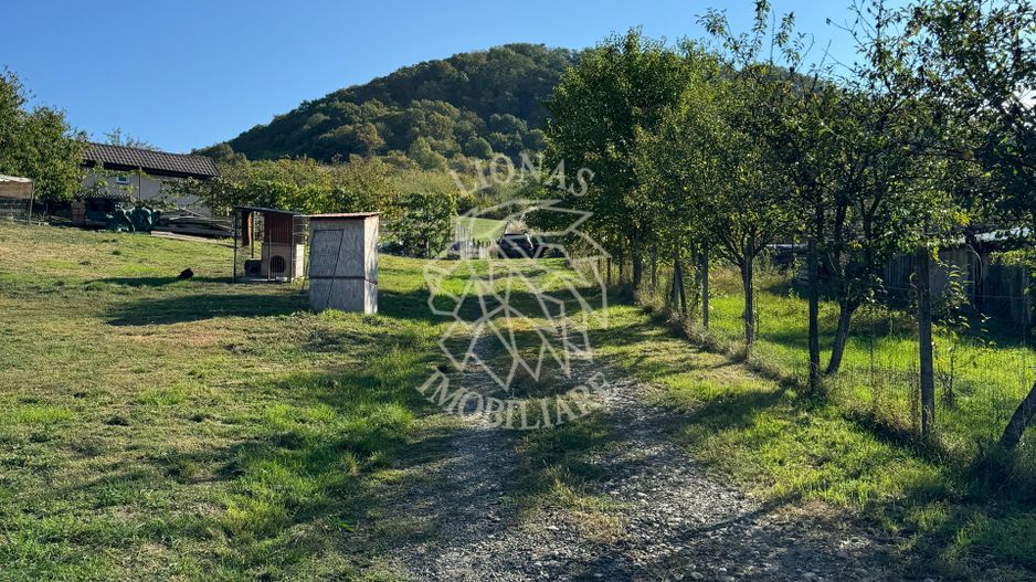 Parcele 500/600 mp-intravilan-utilitati-panoramic-Valea Ghinzii - Poză 3