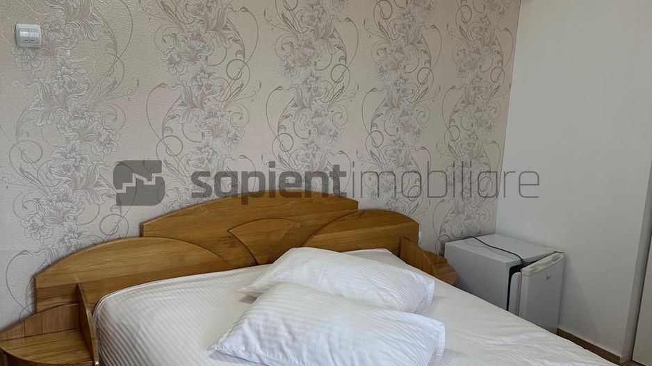 Sapient| Hotel Millenium - Poză 11