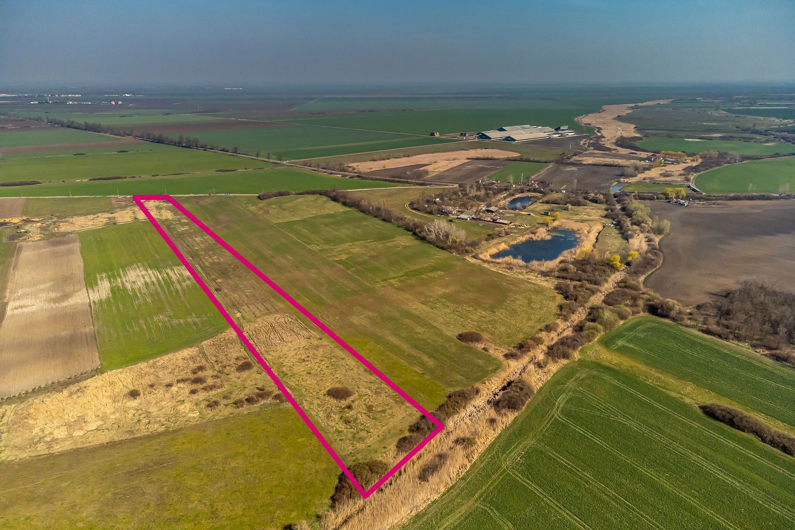 Teren Agricol Extravilan 14300 mp - Poză 5