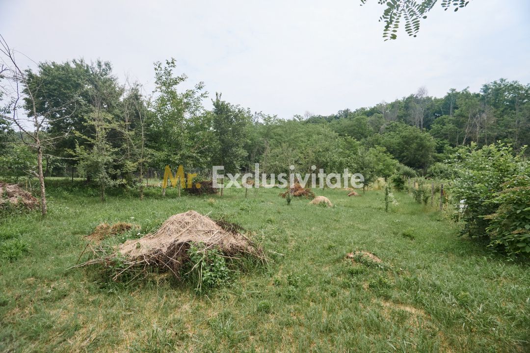 Teren 2240 mp intravilan + casa batraneasca Hintesti-Basangesti - Poză 6