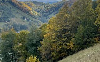 Teren extravilan cu priveliste catre Bucegi – Moieciu de Jos 4.700 mp - Poză 3