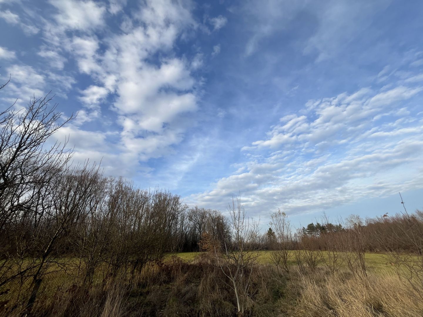 TEREN INTRAVILAN GENEROS | 72 ARI | GALANESTI - Poză 7