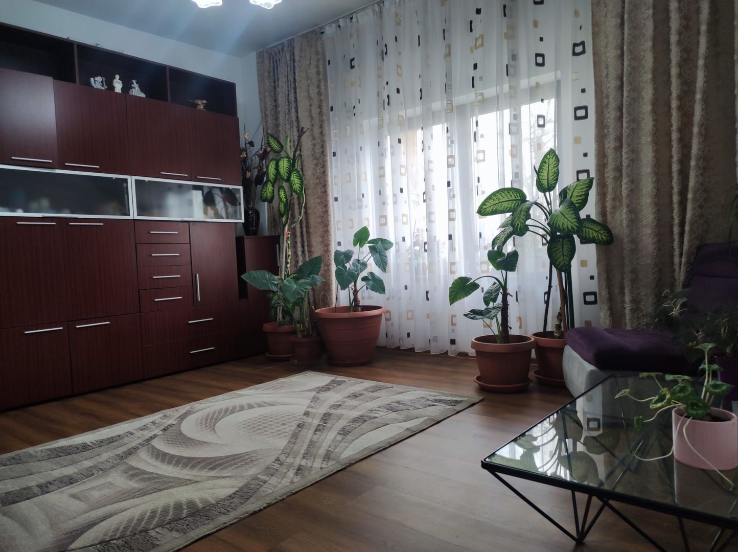 Apartament 2 Camere la Vila, Grigorescu - Poză 7