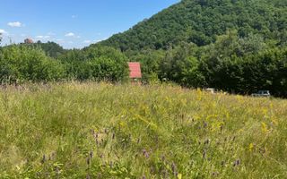 Teren intravilan 4600mp - 55 EUR/mp - EXCLUSIVITATE CISNADIOARA - COMISION 0% - Poză 13