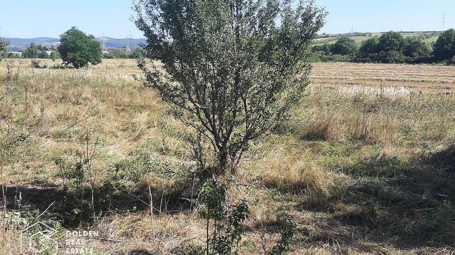 Terenuri 1300 mp, Lipova - Poză 3