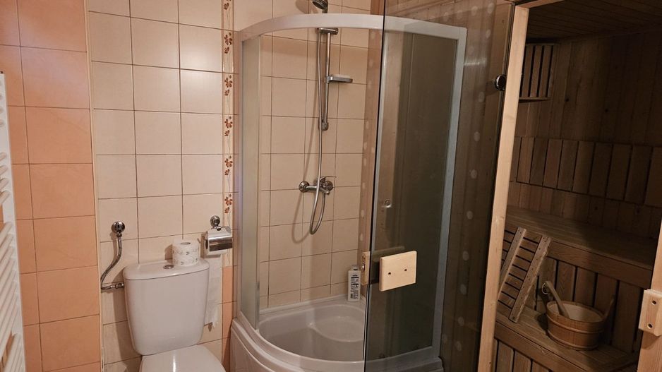 Inchiriere vila 10 camere zona Bd. Ferdinand - Poză 3