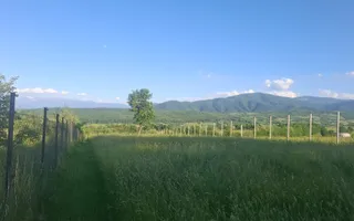 Teren intravilan 809 mp cu deschidere 14 m în Tropinii Noi - Poză 16