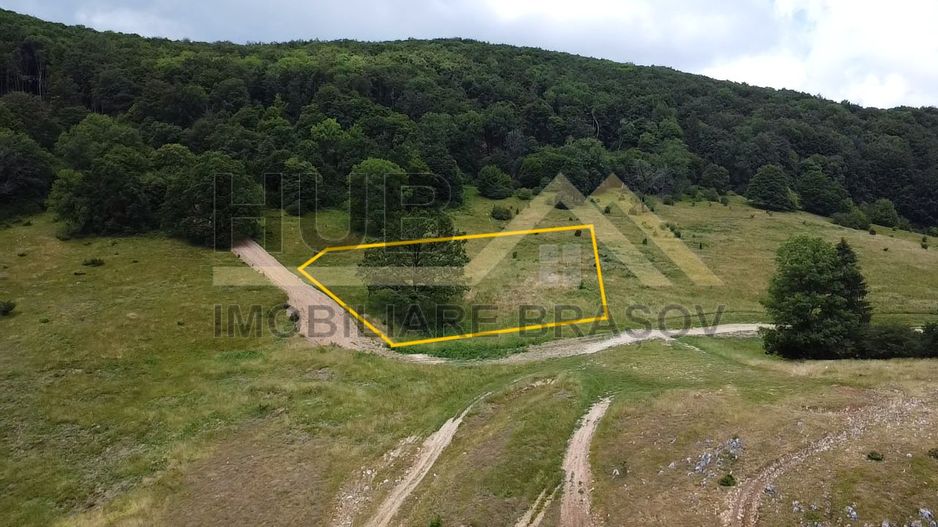 Teren Intravilan | Poiana Brasov | 5.000mp | Necesar PUZ - Poză 2