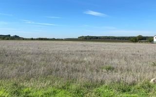 Teren Intravilan 825mp Cu dubla deschidere si Drum de servitute, Dascalu  Ilfov - Poză 10