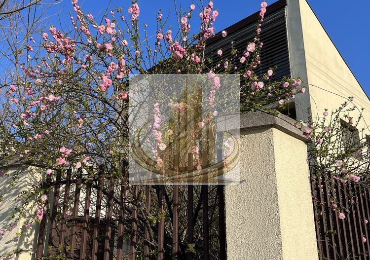 Vilă spectaculoasă în zona Brâncoveanu | 270 mp | Garaj| Curte proprie - Poză 7