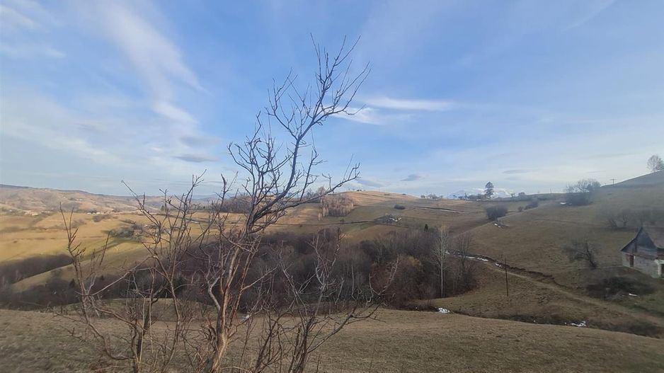 Oaza de liniste si frumusete, reconectare cu natura, 16.000 mp, Poiana Marului - Poză 11