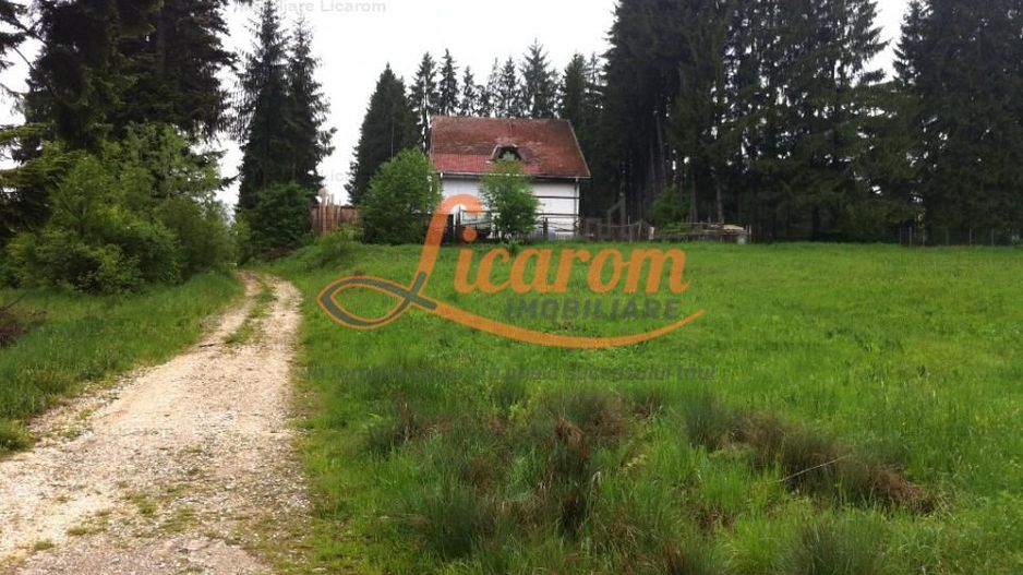 Teren intravilan Cotul Donului,pretabil Hotel/pensiune. - Poză 15