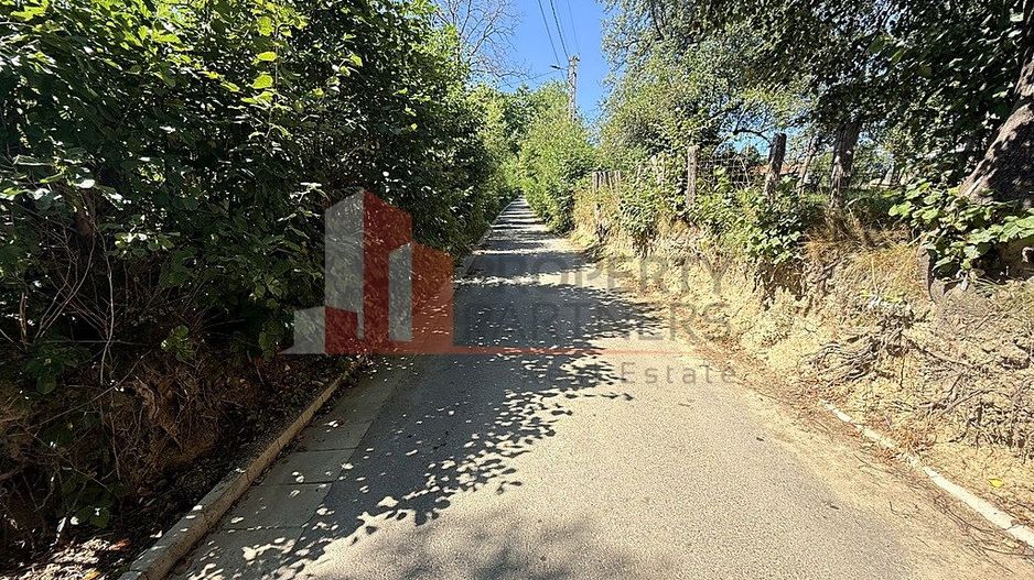 Teren 4558 mp cu casă tradițională, Sohodol, Bran - Poză 12