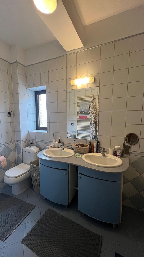 Vila Damaroaia - langa lacul Grivita - Poză 10