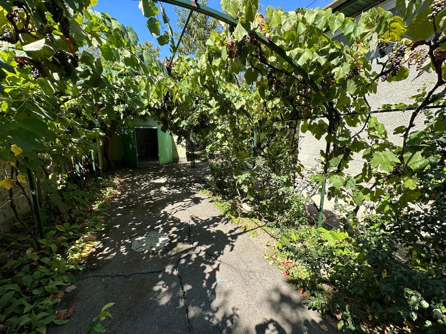 Casa cu teren 1394 mp - Poză 3