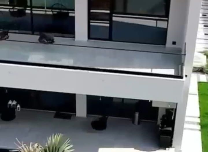 ilfov  CORBEANCA - Poză 37