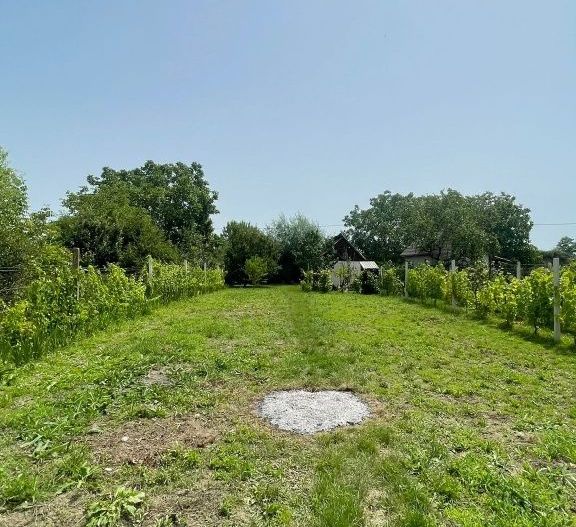 Vând teren intravilan, Str Dealului 64 - 936 mp,front stradal 13.4 m - Poză 2