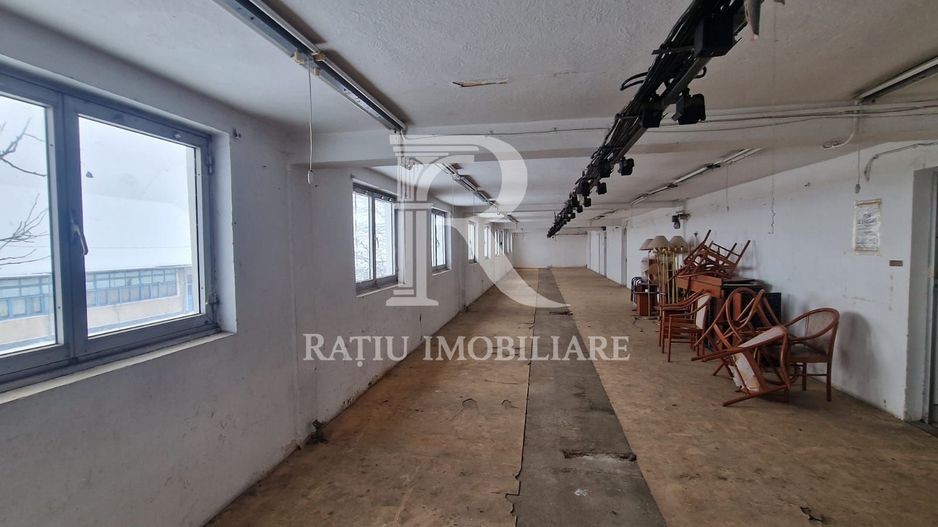 14.302 MP TEREN | 4.925 MP CONSTRUIT | PUTERE ELECTRICĂ EXCEPȚIONALĂ | FĂRĂ SARCINI - Poză 6